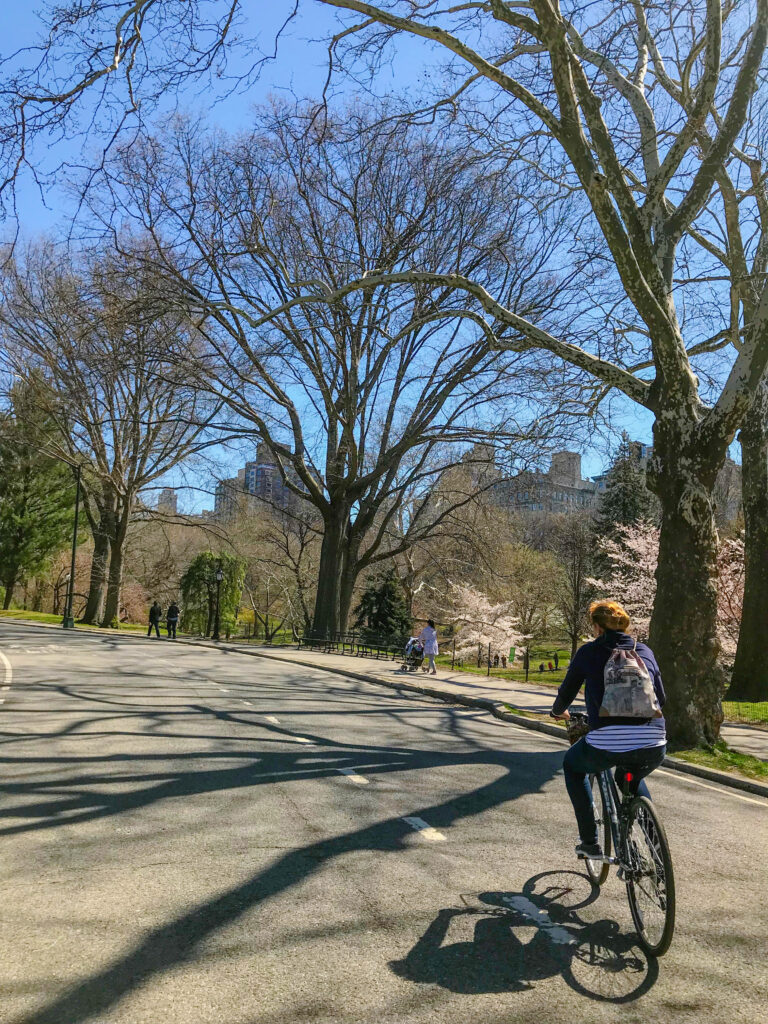En bicicleta por Central Park